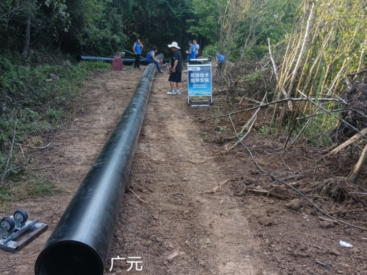 广元昭化区饮水项目